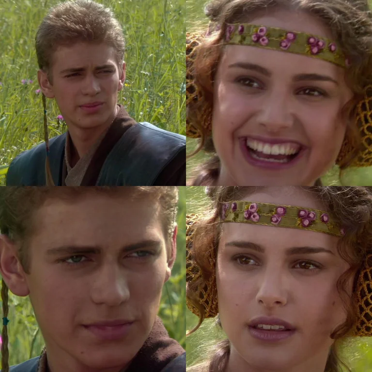 Anakin Padme 4 Panel meme template: Anakin and Padme from Star Wars, her smile fading into worried silence
