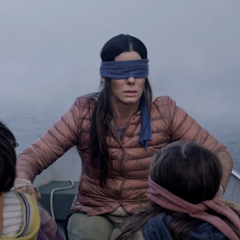 Bird Box meme template