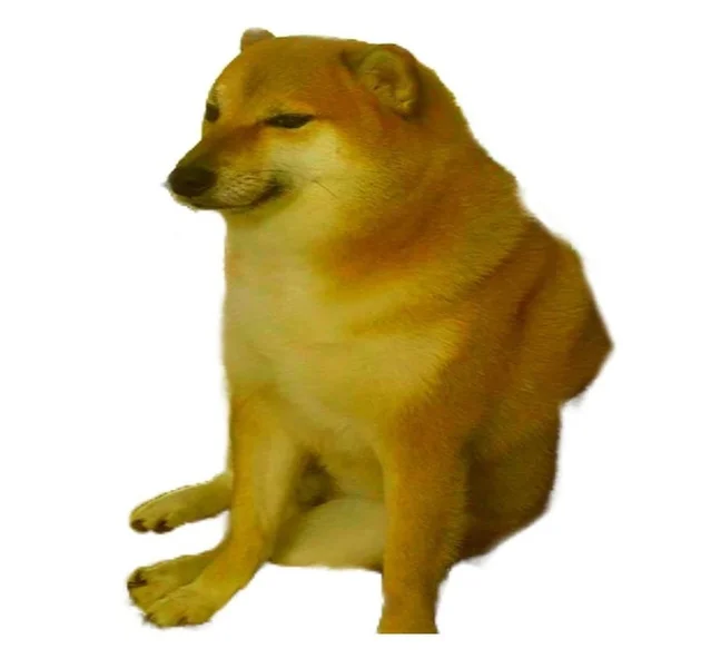 Cheems meme template: the Shiba Inu Balltze with a slightly awkward, endearing expression