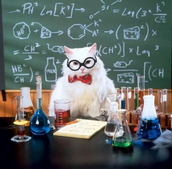 White cat with glasses and bow tie at a chemistry lab bench