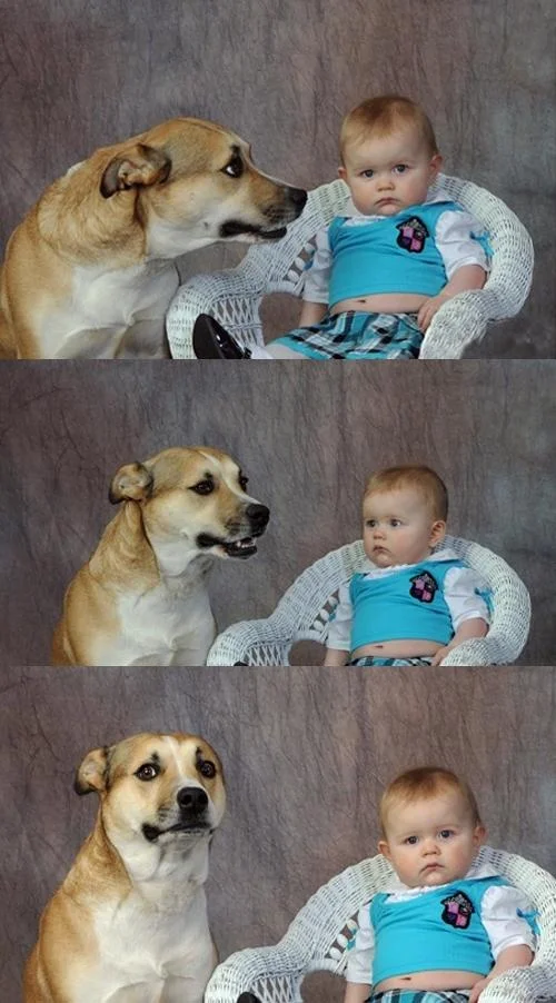 Three-panel photo of a dog whispering to a baby then both looking at camera