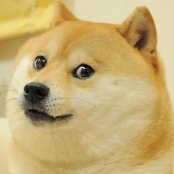 Doge meme template: a Shiba Inu dog looking sideways at the camera with raised eyebrows