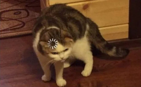 Dumb cat brain loading meme template