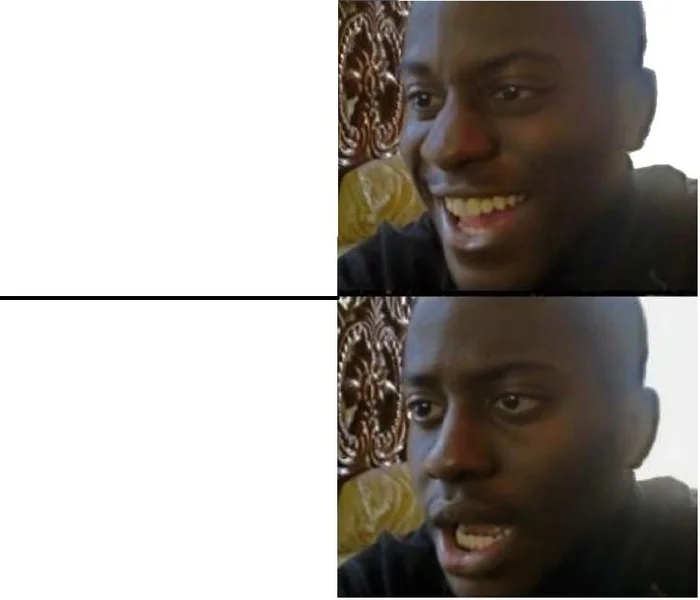 Expectation vs. Reality meme template: two stacked images comparing the ideal with the actual result