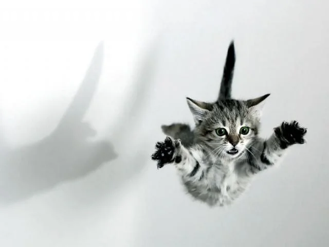 i believe i can fly... meme template
