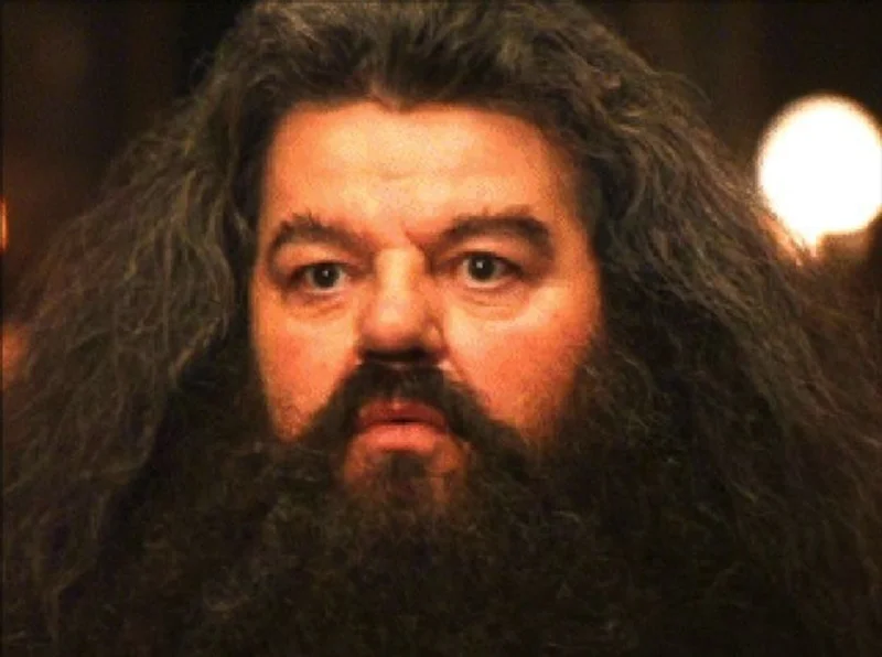I Should Not Have Said That meme template: Hagrid from Harry Potter instantly regretting his words