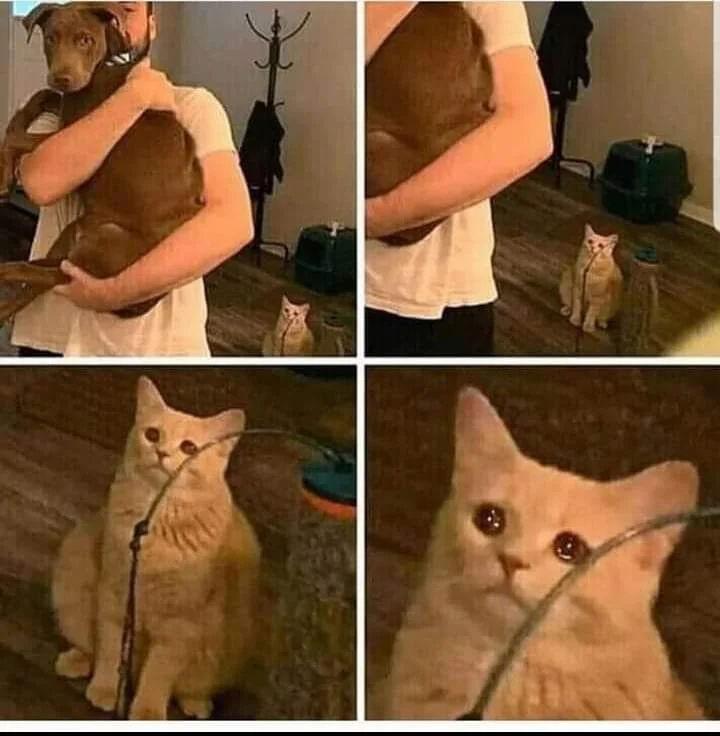 Man Holding Dog But Cat Is Sad meme template