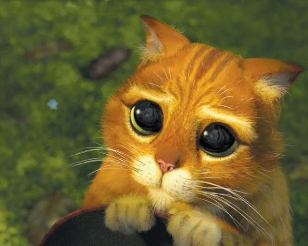 Puss in Boots Eyes meme template
