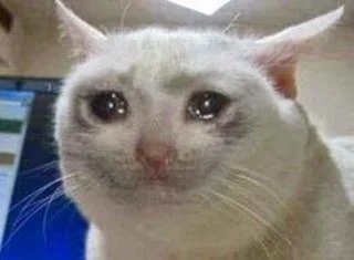 Sad Cat meme template