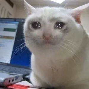 Sad Cat Tears meme template