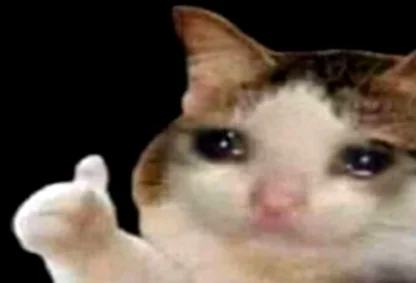 Sad Cat Thumbs Up meme template