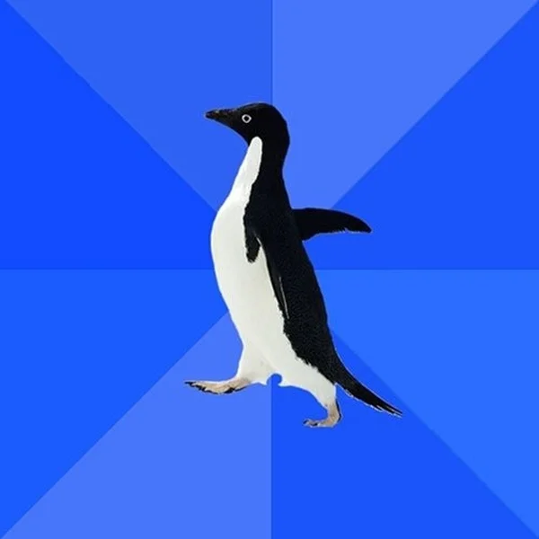 Socially Awkward Penguin meme template: a penguin standing with flippers slightly out and head tilted