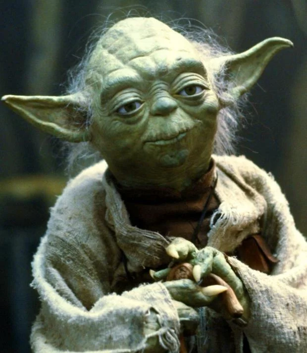 Star Wars Yoda meme template: the Jedi Master Yoda looking wise and weathered