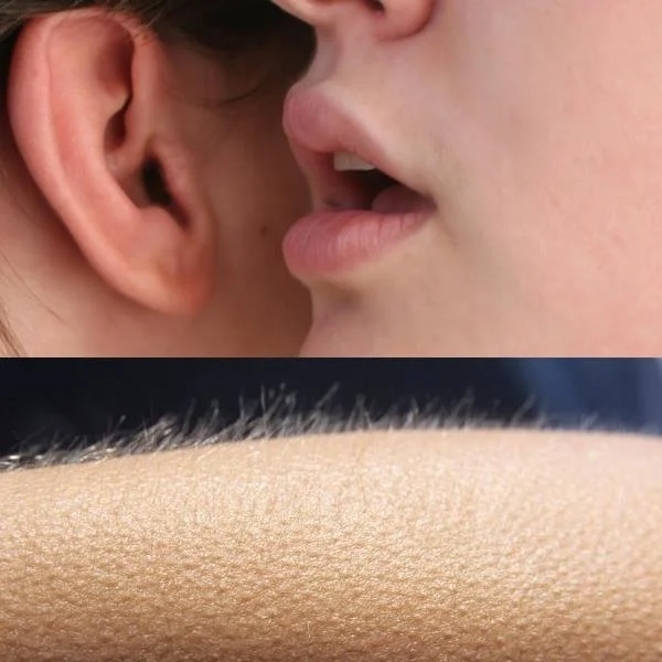 Whisper and Goosebumps meme template: someone whispering into an ear, then a forearm covered in goosebumps