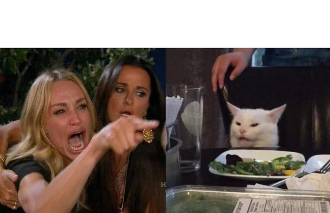 Woman Yelling at a Cat meme template: a shouting woman pointing across a table beside a confused white cat at dinner
